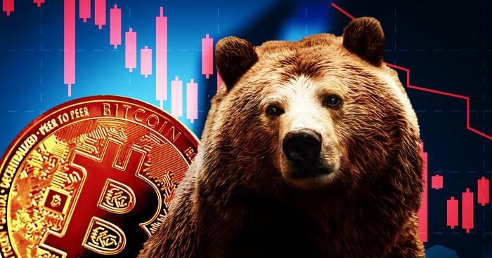 What is a bear market in the cryptocurrency world ?