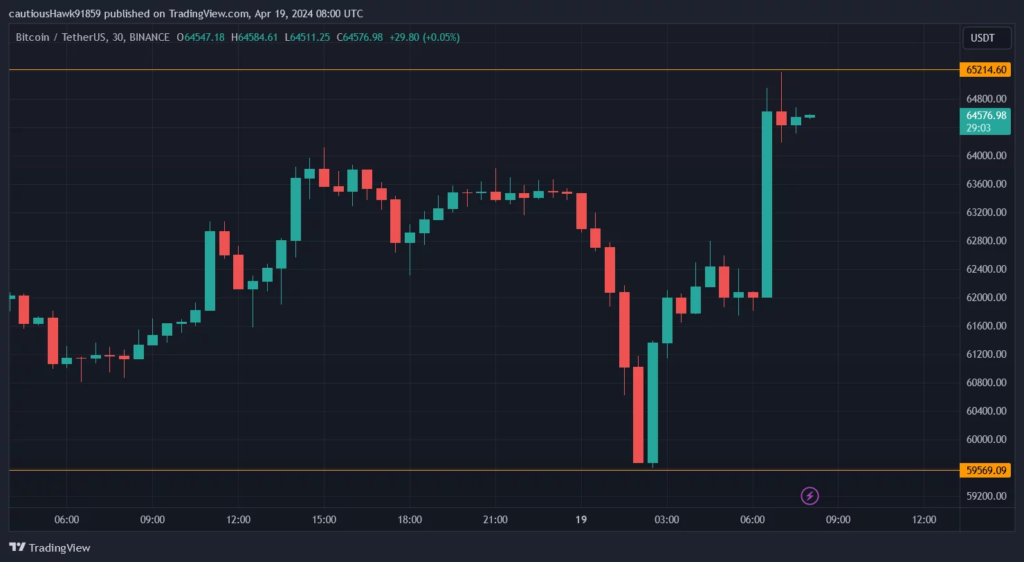 Bitcoin's price volatility 

