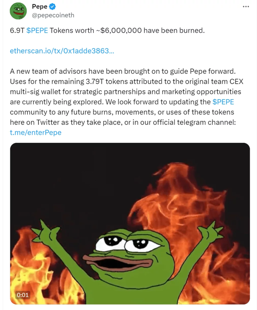 MEMECOIN PEPE